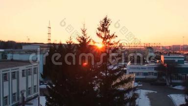 俄罗斯铁路火车站日落。 冷杉树枝上的阳光，雪